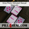 Gros Pénis Stimulant Sexuel Masculin 33